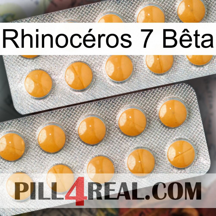 Rhinocéros 7 Bêta levitra2